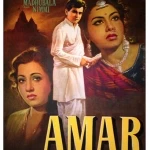 amar-1954